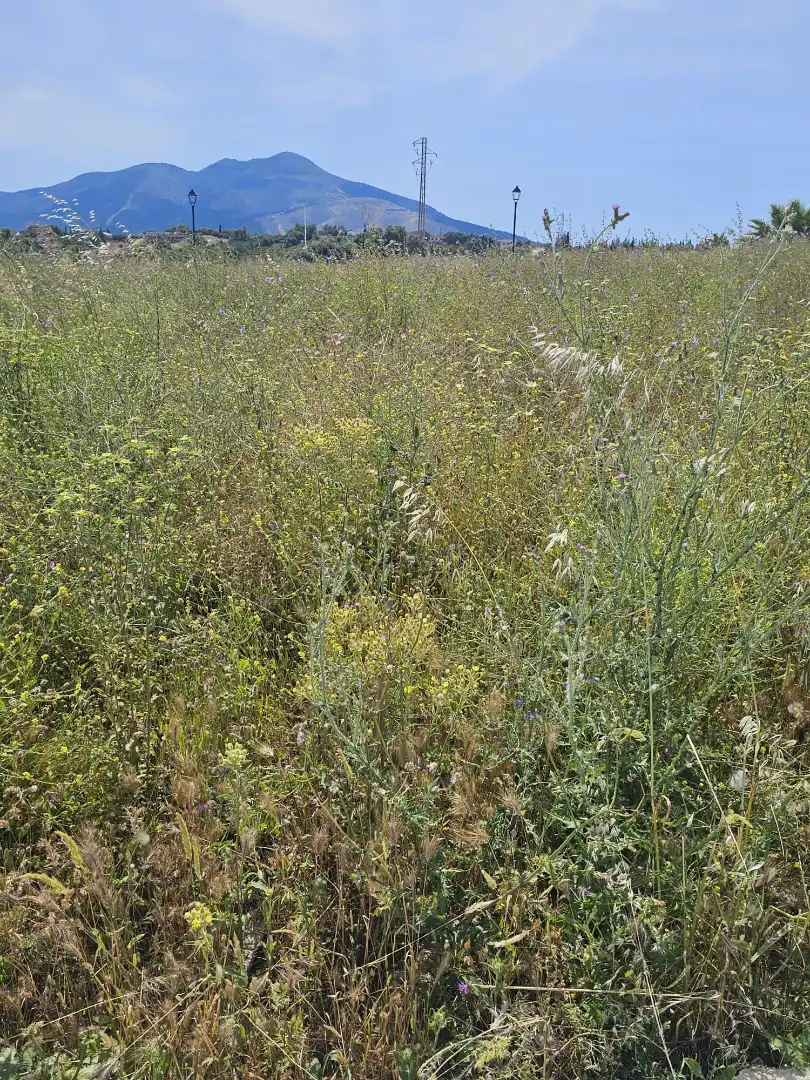 Terreno residenziale in vendita a Coín, imagen 9