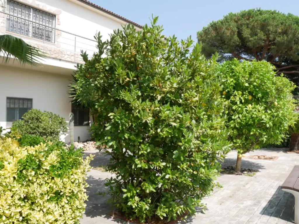 Villa zum Verkauf in Avenida Rafael Alberti, imagen 24