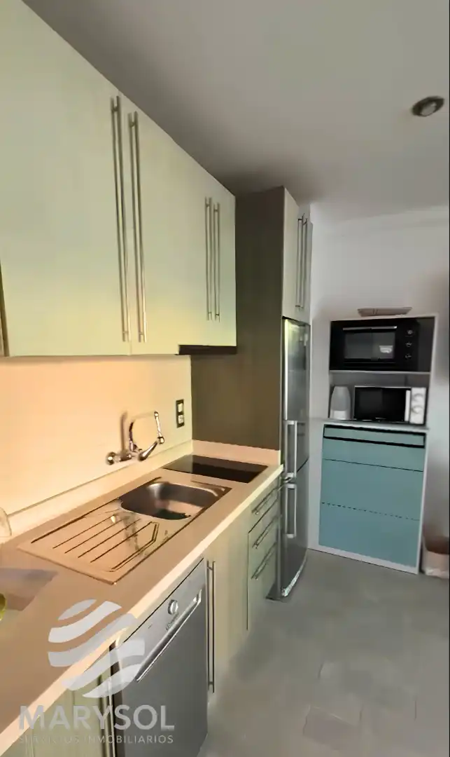 Kitchen of Apartments for rent in Mogán  with Air Conditioner, Terrace and Furnished