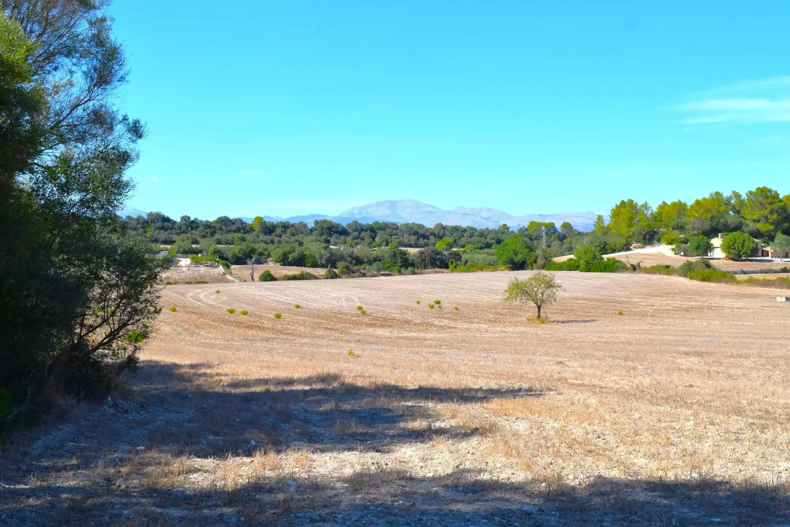 Terreny residencial en venda a Llubí, imagen 8