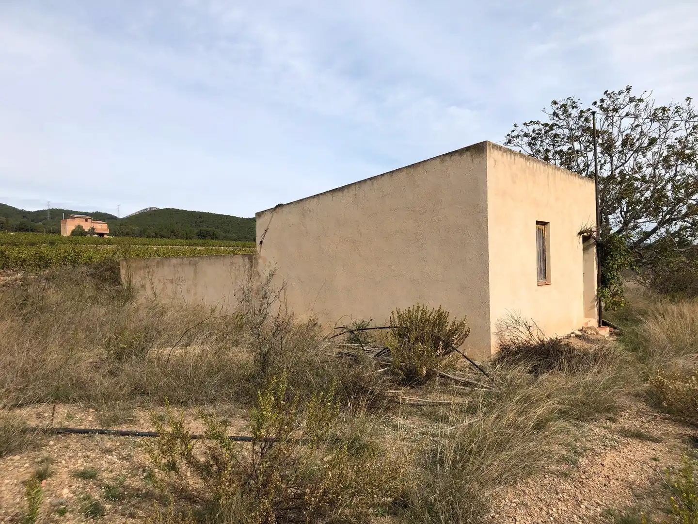 Terreno rústico en venta en Partida Alborada 1, imagen 7