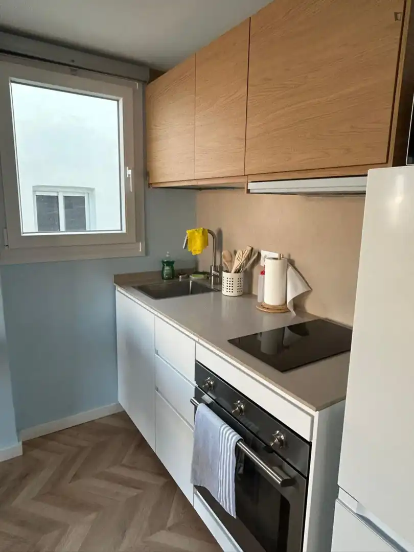 Cuina de Apartament de lloguer en Valencia amb Aire condicionat, Moblat i Forn