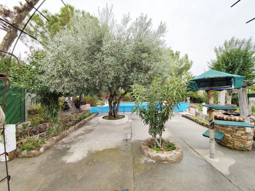 Jardín de Casa o chalet en venta en Colmenar de Oreja con Aire acondicionado, Calefacción y Parquet