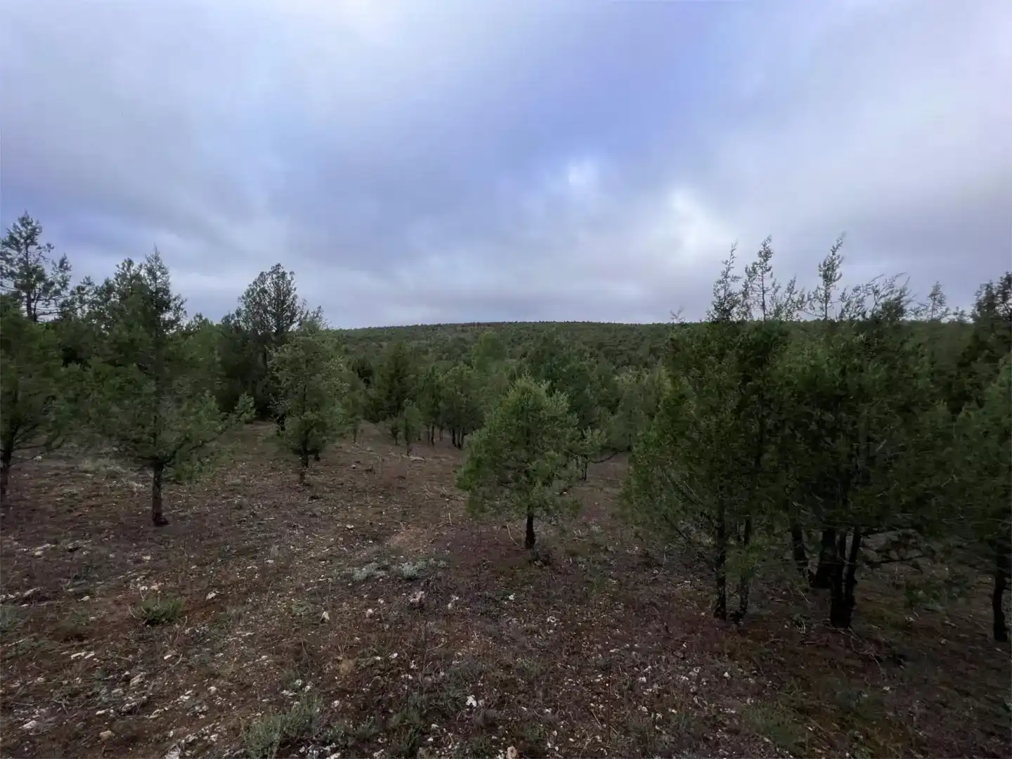 Terreno en venta en Duruelo
