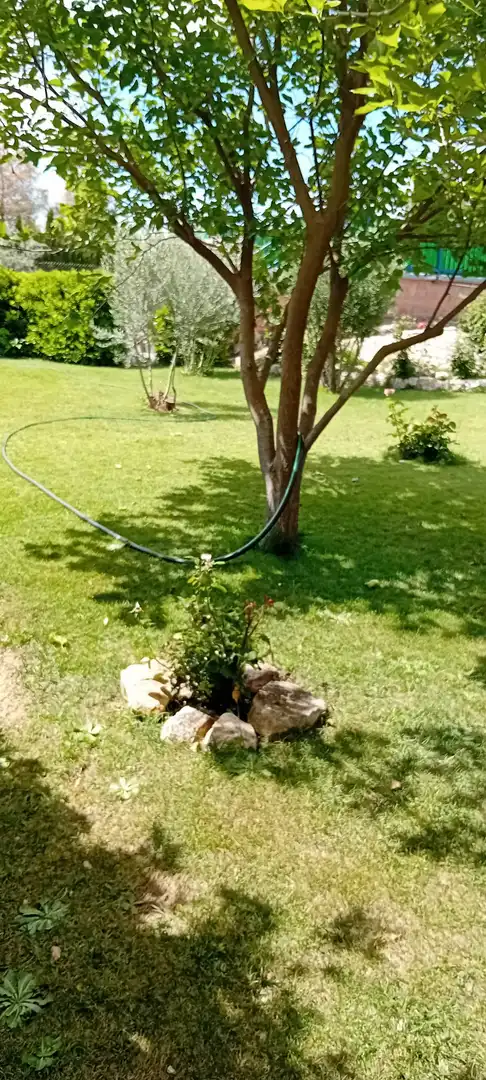 Chalet con piscina en venta en Pedanías - Extrarradio, imagen 28