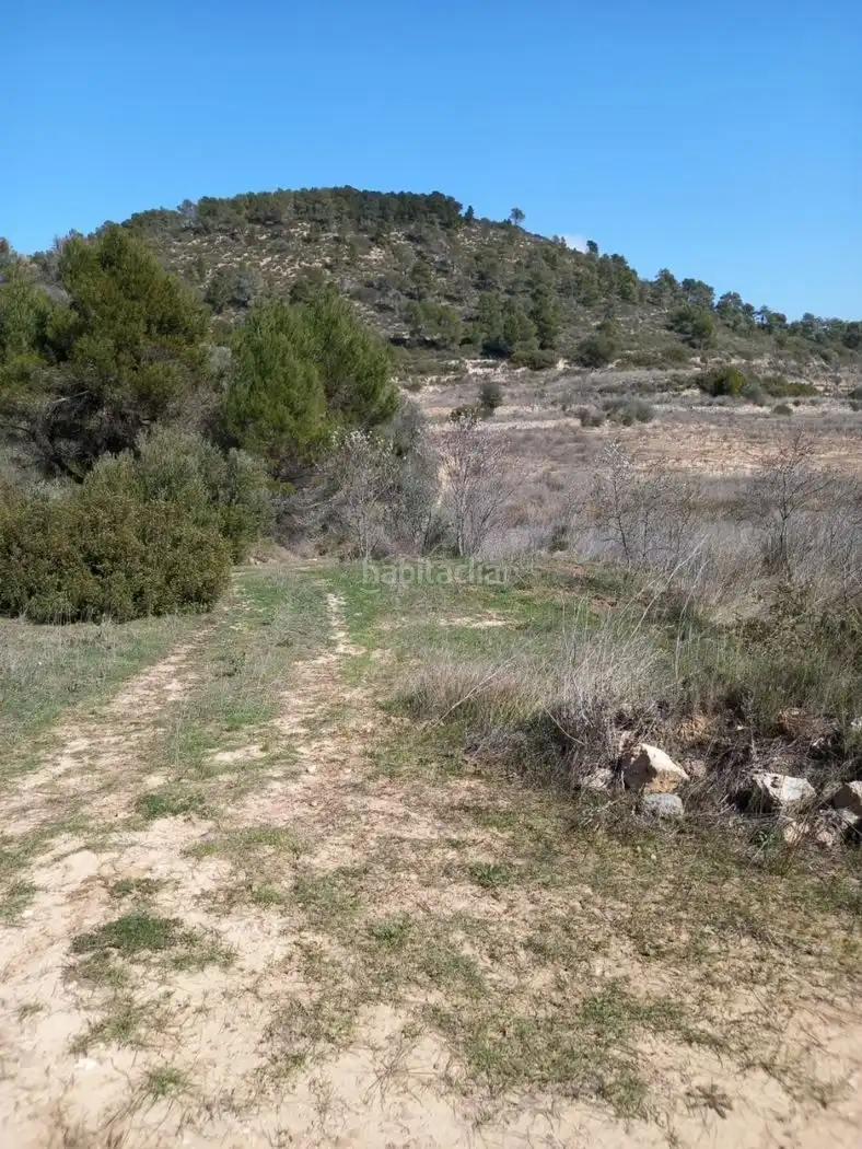 Rustikales Grundstück zum Verkauf in Carrer de l'Església 35, imagen 13