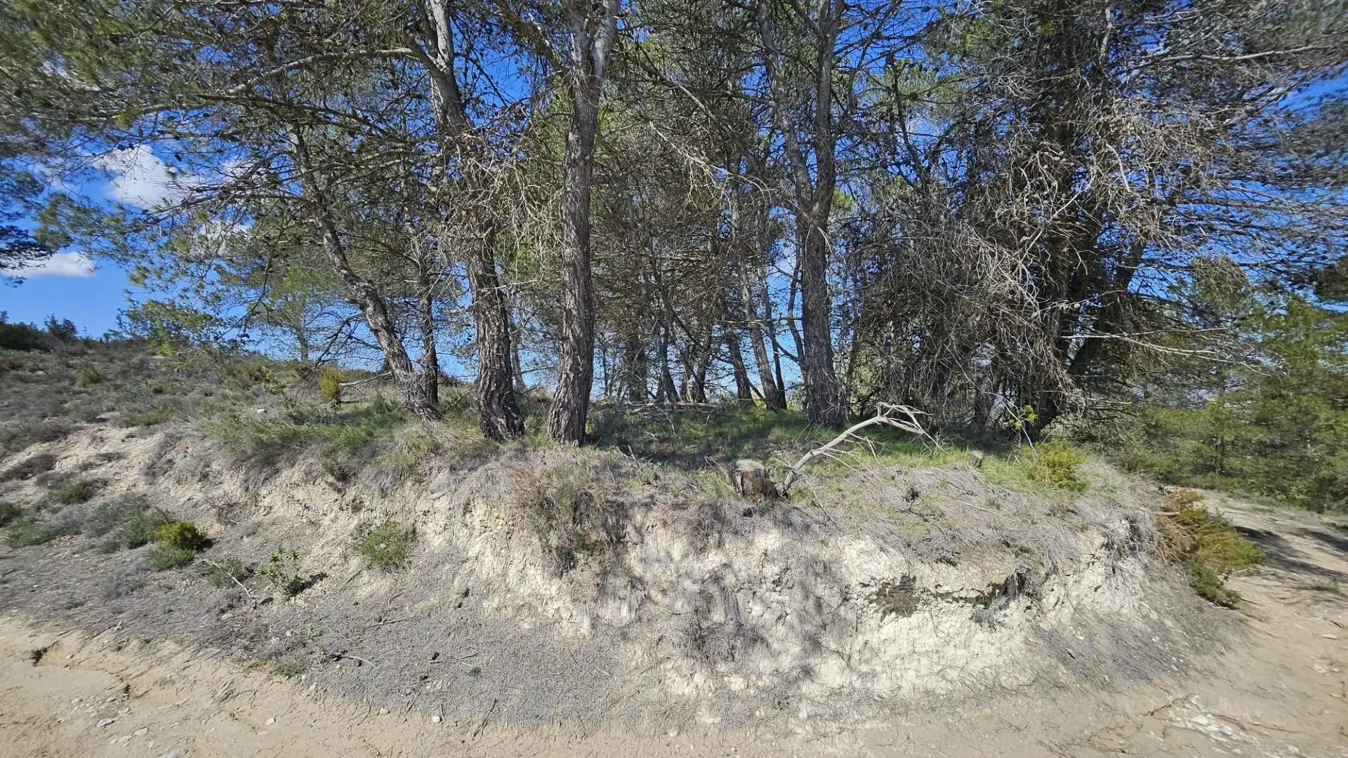 Terrain rustique à vendre à Millena, imagen 29