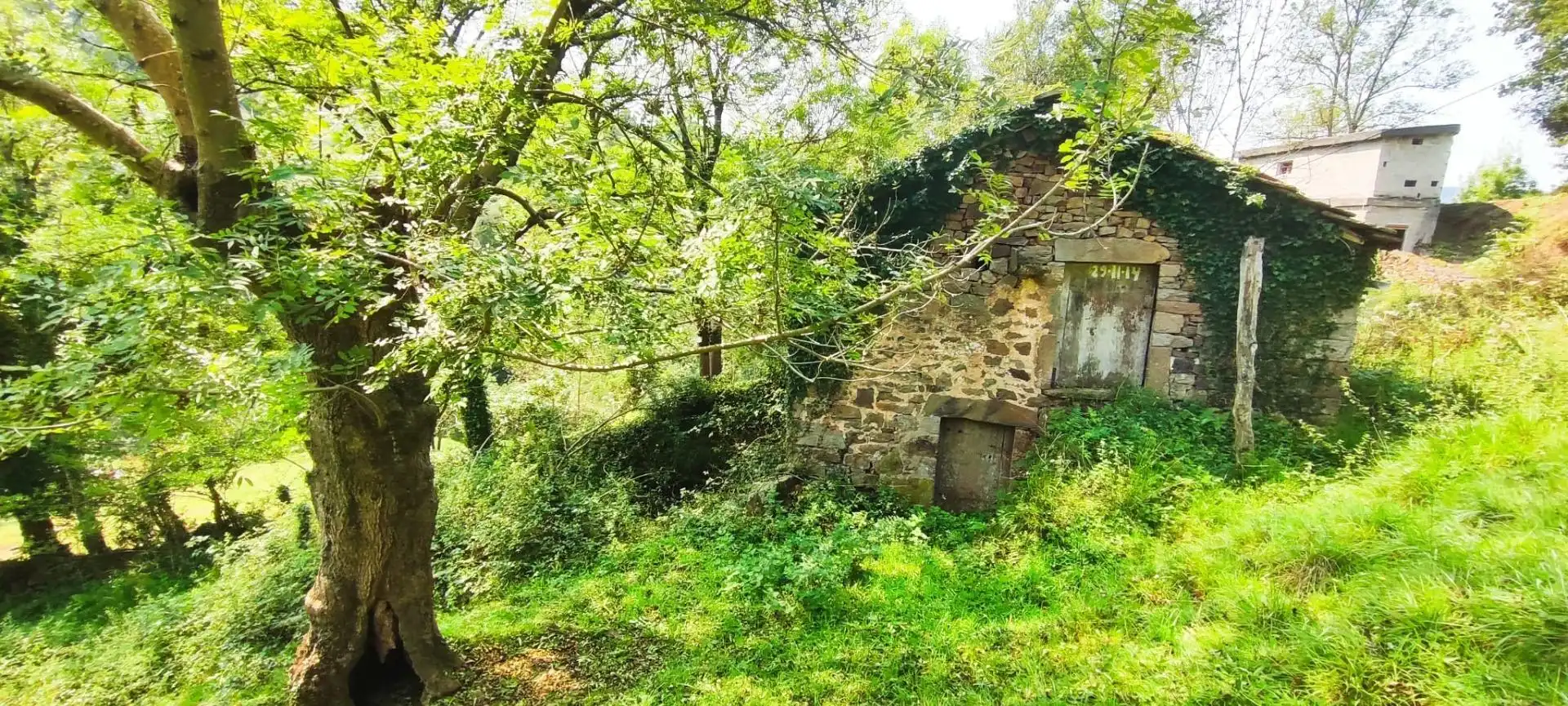 Casa in vendita a Selaya