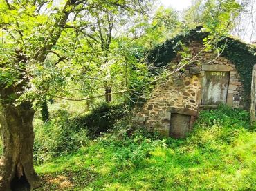 Casa in vendita a Selaya