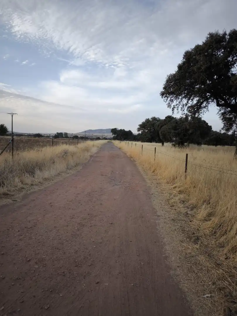 Vista exterior de Finca rústica en venda en El Viso de San Juan