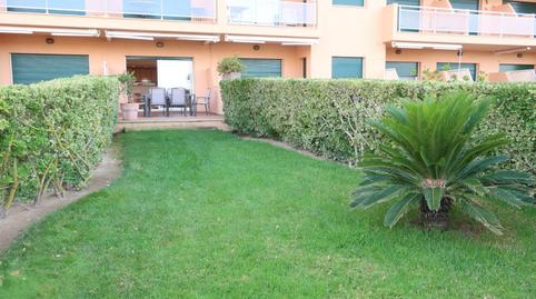 Foto 4 de Apartamento de alquiler en Pals, Girona