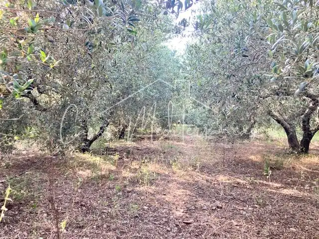Country house for sale in Riudoms, imagen 16