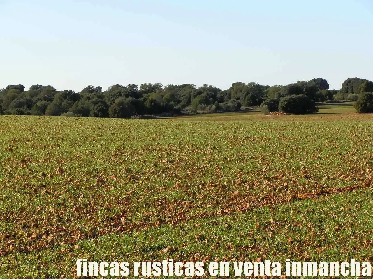 Lands and plots for sale in Ossa de Montiel, imagen 7