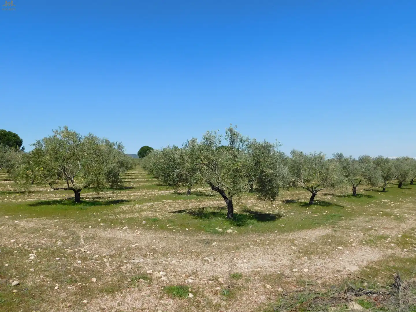Terreno en venta en Villa del Prado