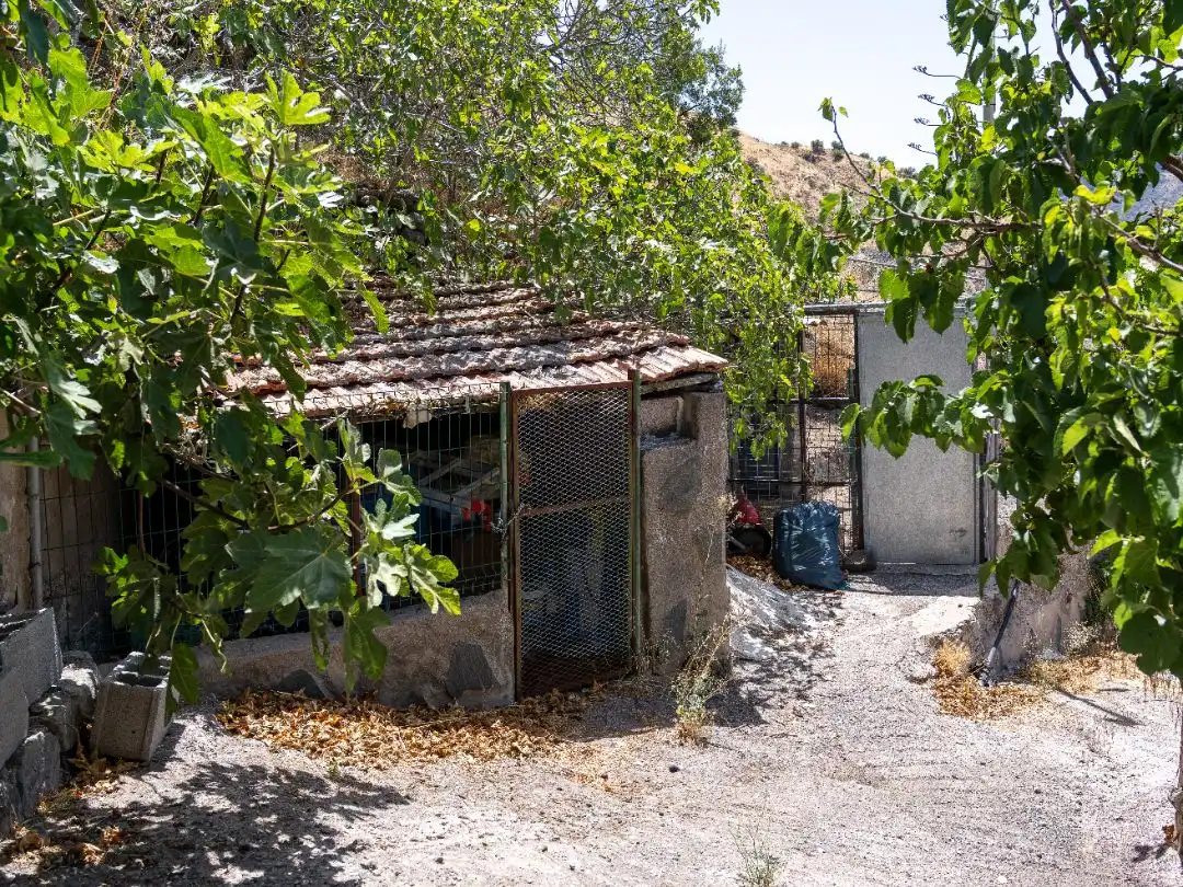 Exterior view of Country homes for sale in Tejeda, Las Palmas