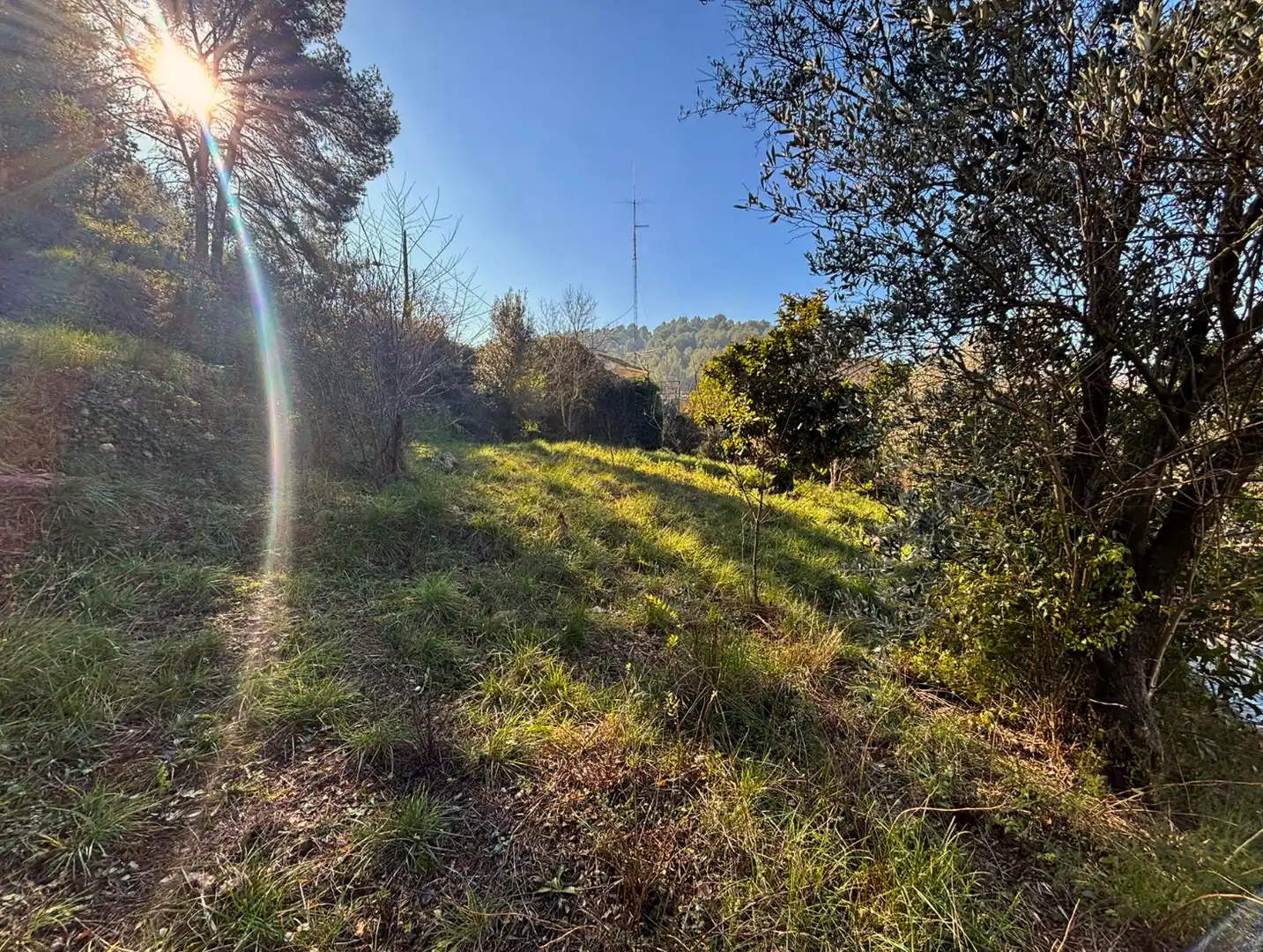 Wohnbaugrundstück zum Verkauf in Carrer Racó del Bosc, imagen 5