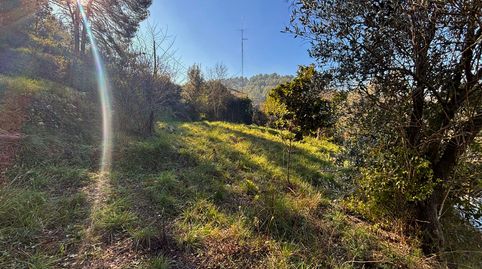 Terreno con gran potencial en el Racó del Bosc – Bigues i Riells, imatge 5