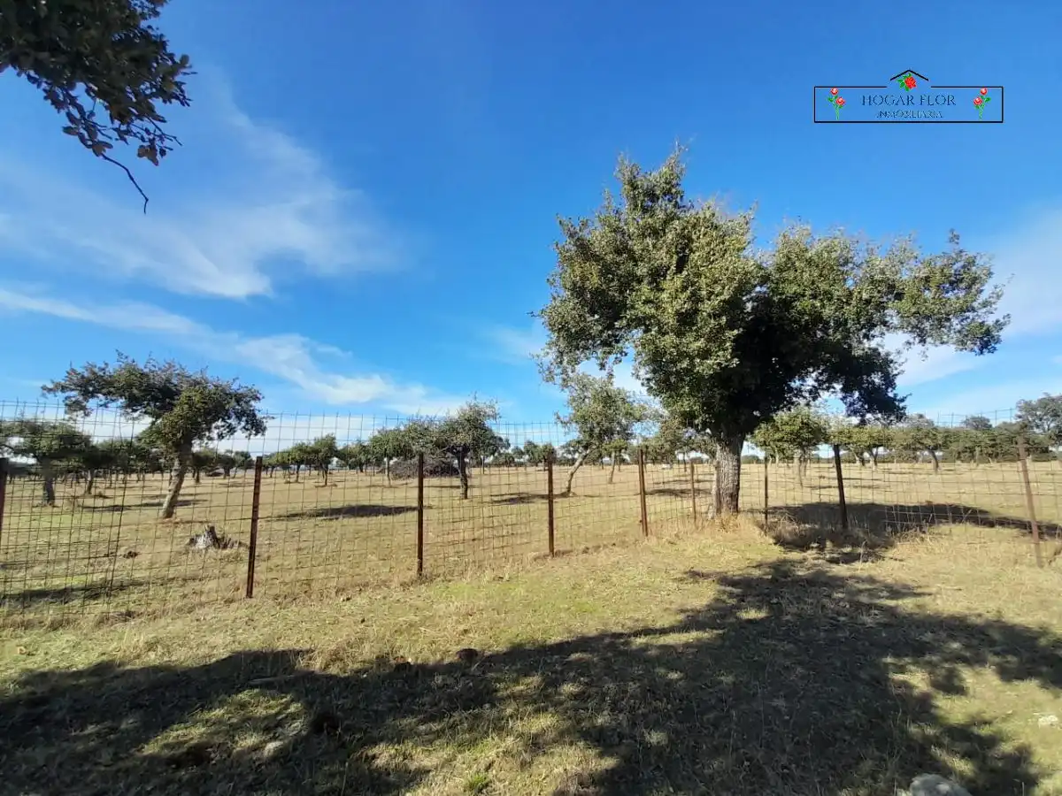 Finca rústica en venta en Carrascal del Obispo