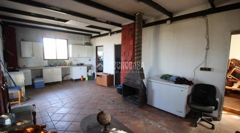 Foto 3 de Finca rústica en venda a San Cayetano, Granada