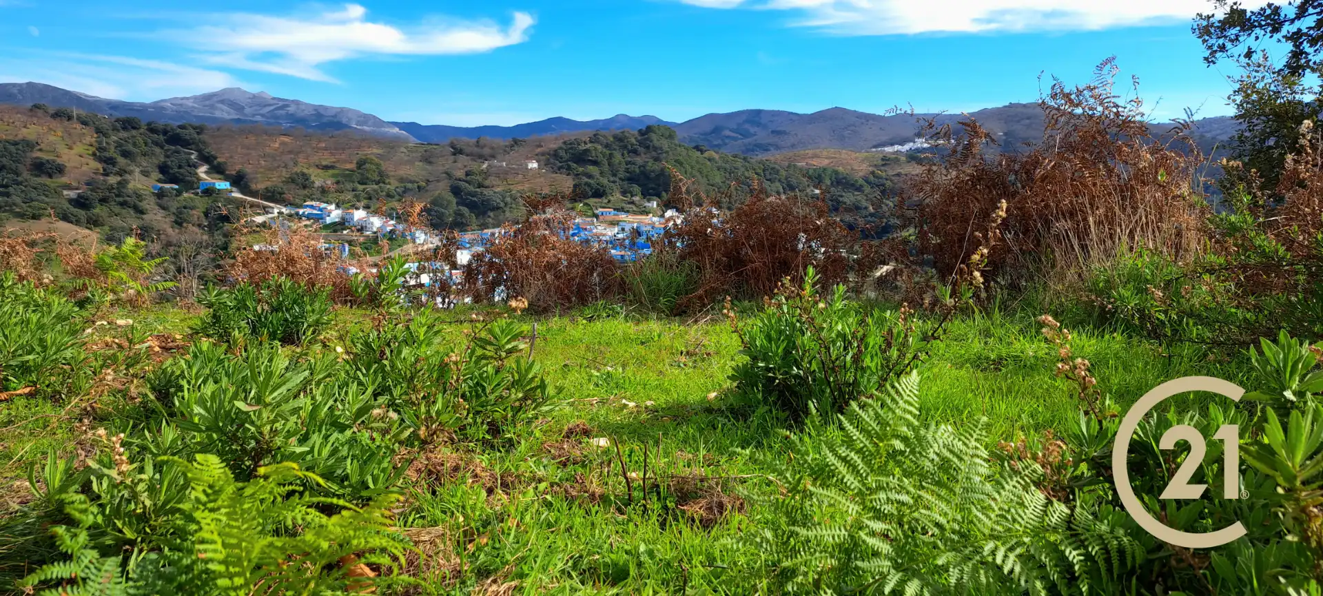 Vista exterior de Terreno en venta en Júzcar