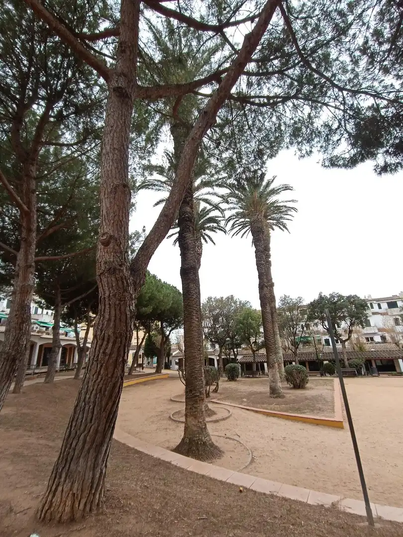 Terraced house with terrace for sale in Plaza Plaza Palmeres, imagen 30