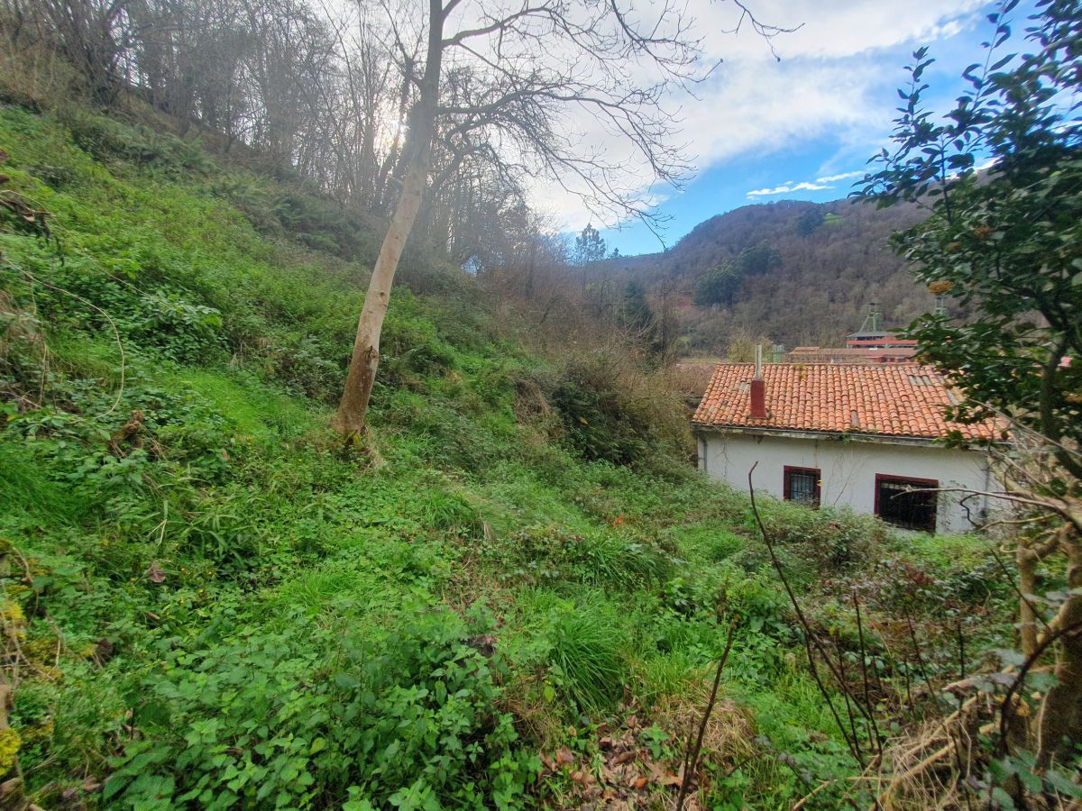 Casa o xalet en venda en San Martín del Rey Aurelio