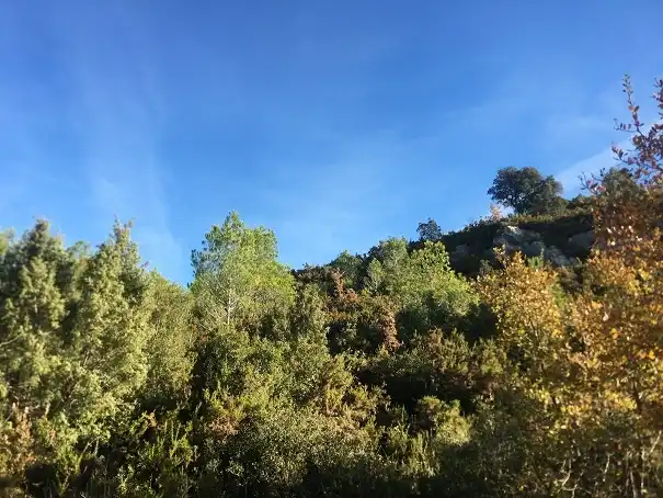 Terreno rustico in vendita a Ptda L`Arboçar, imagen 6