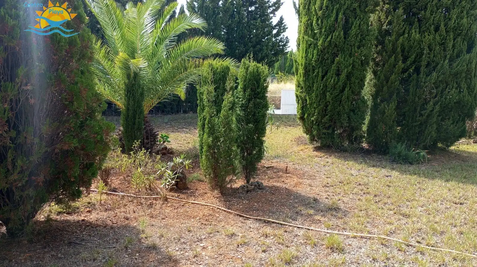 Casa o xalet en venda a Alcossebre