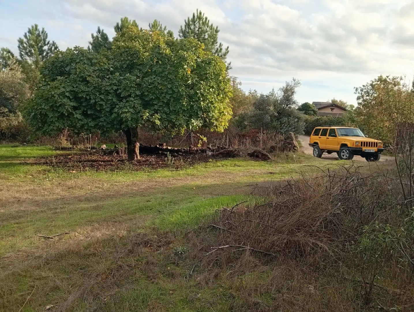 Terreni e lotti in vendita a Villanueva de la Vera, imagen 35
