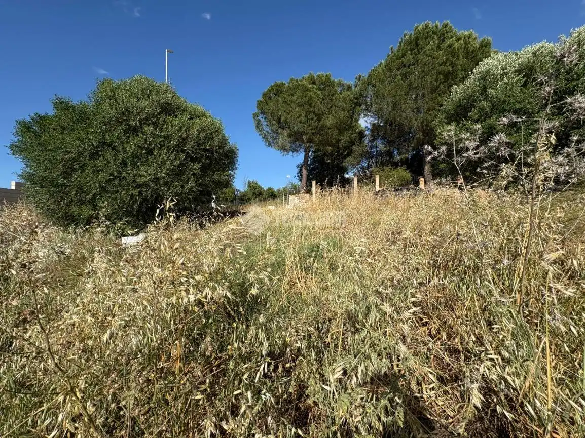 Terreny residencial en venda a Sanlúcar la Mayor, imagen 24