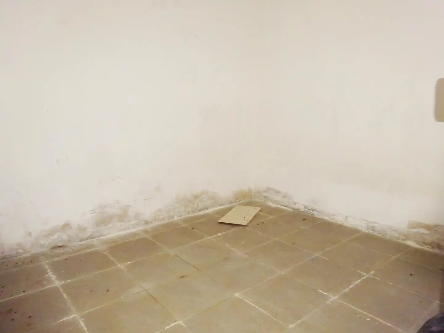 Commercial properties for sale in Almonte