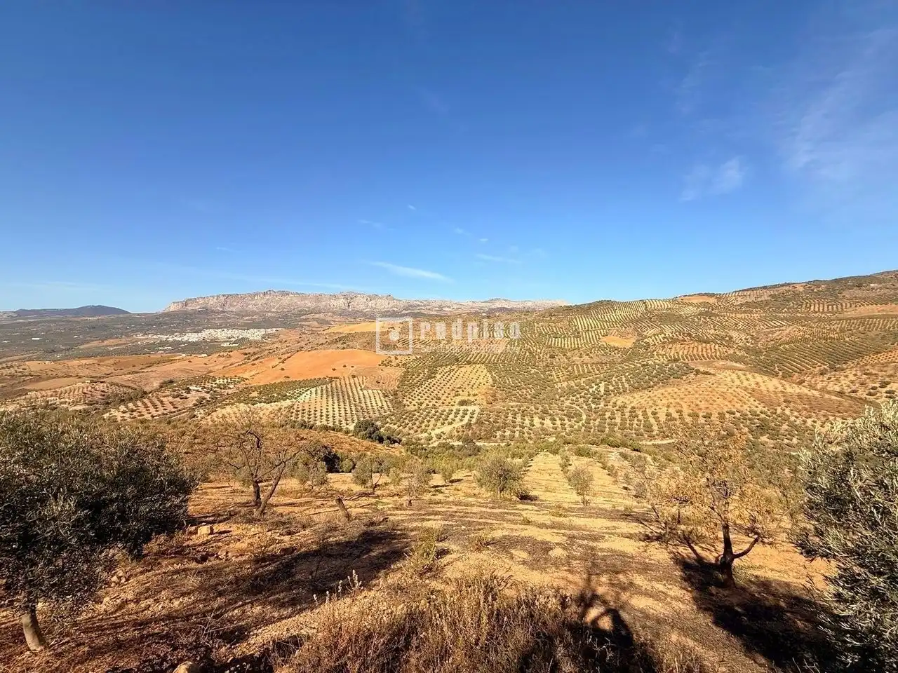 Residential land for sale in Diseminados, imagen 4