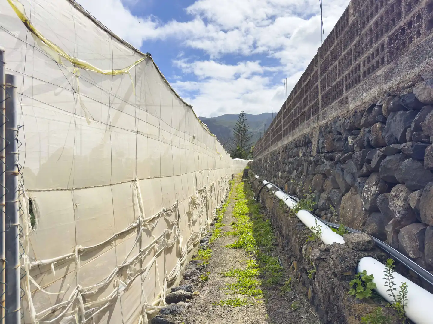 Exterior view of Land for sale in Los Silos