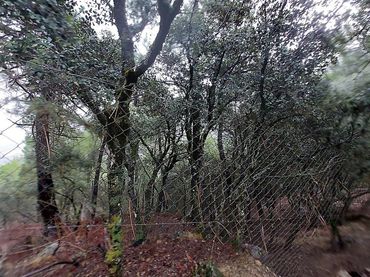 Rural land for sale in La Iruela