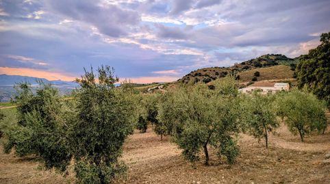Finca Rúst. en venta en Los Arenales., immagine 4