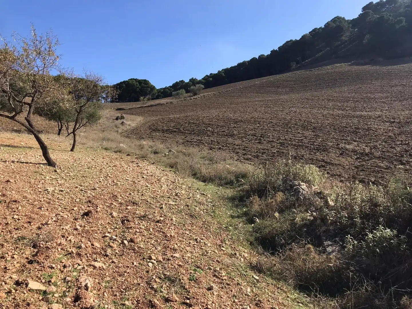 Residencial en venda en Álora