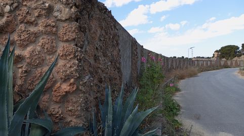 complejo de cuevas para reforma, imatge 4