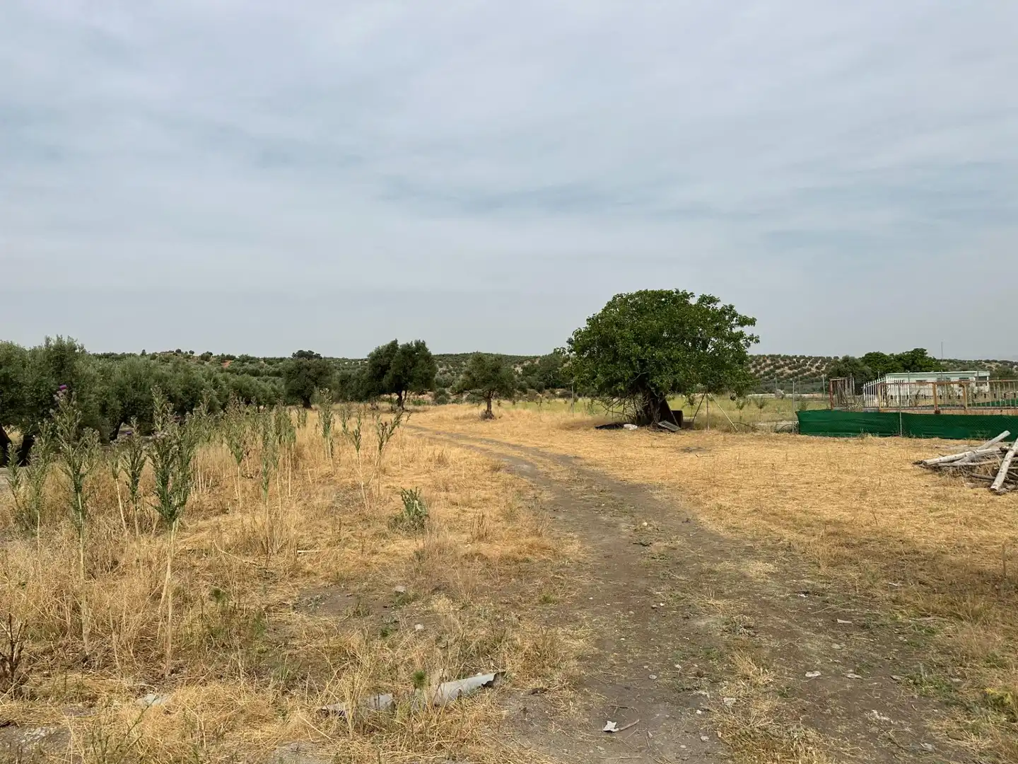 Wohnbaugrundstück zum Verkauf in Chimeneas, imagen 24