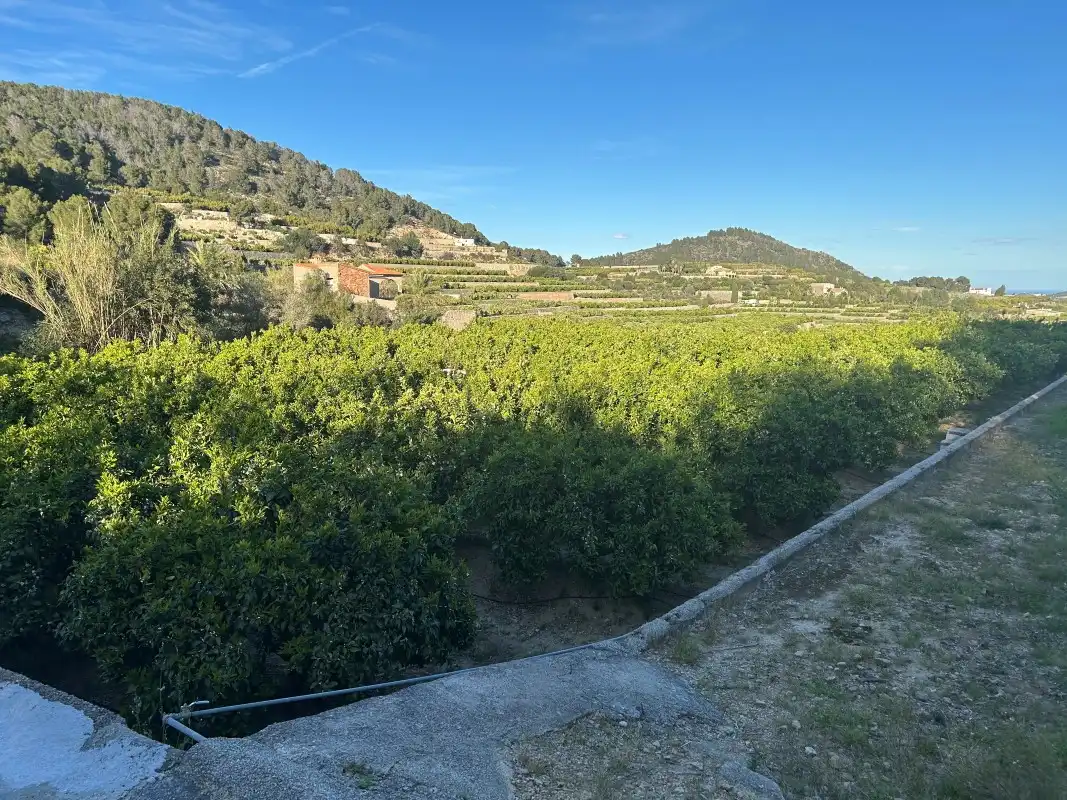 Finca rústica en venda en Oliva amb Moblat