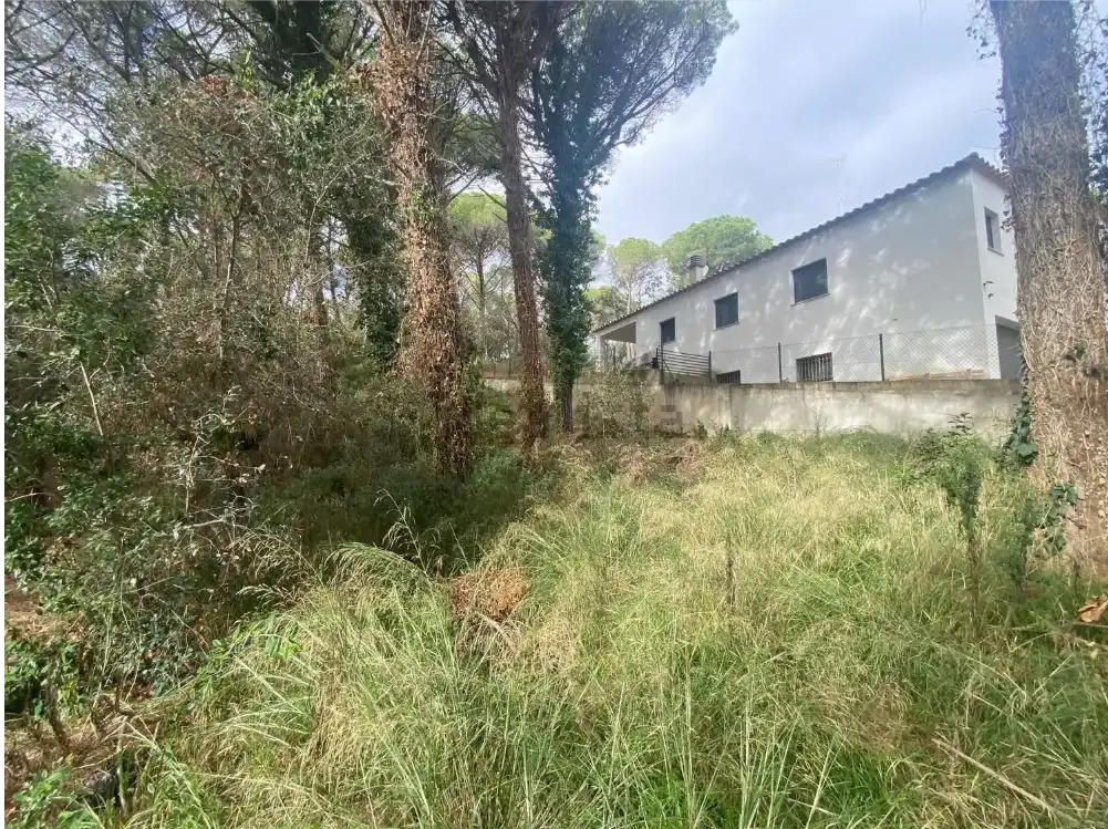 Terrains et parcelles à vendre à Mas Pere - Río de Oro, imagen 13