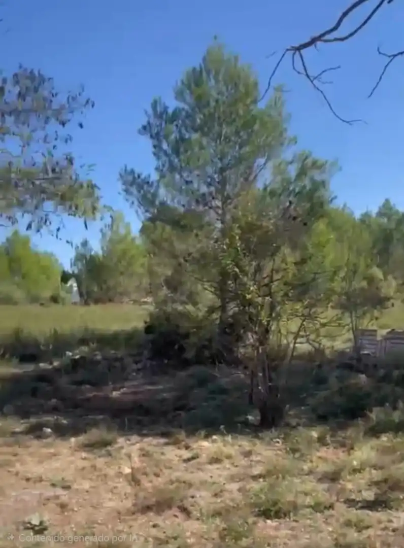 Grundstücke zum Verkauf in Bocairent