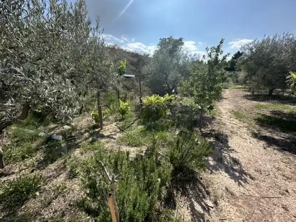 Rustikales Grundstück zum Verkauf in Monóvar  / Monòver, imagen 10