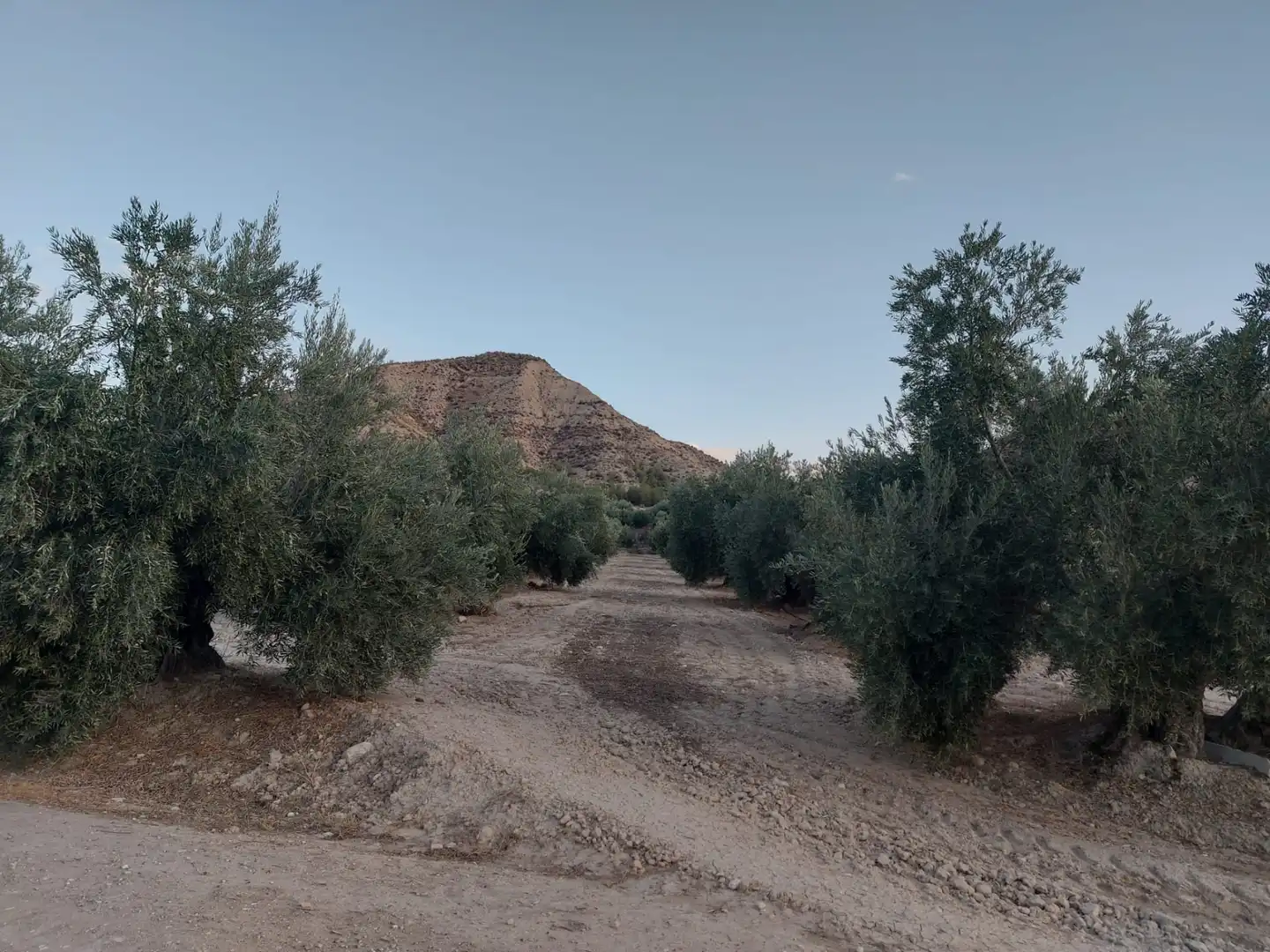 Vista exterior de Terreno en venta en Alicún de Ortega