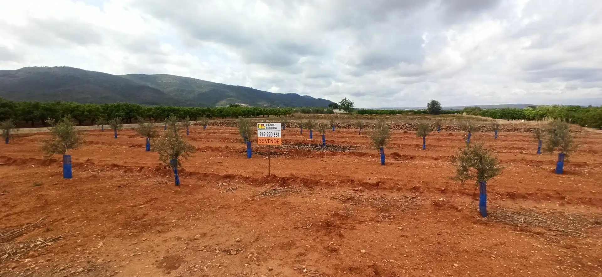 Terreno en venta en Anna