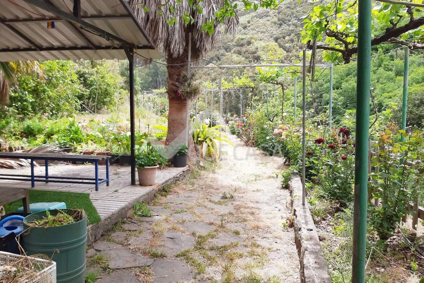 Garden of Country homes for sale in Teror