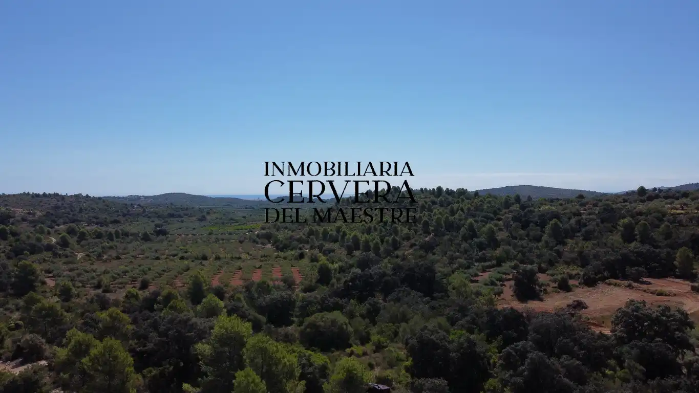 Terreno rustico in vendita a Cervera del Maestre, imagen 19