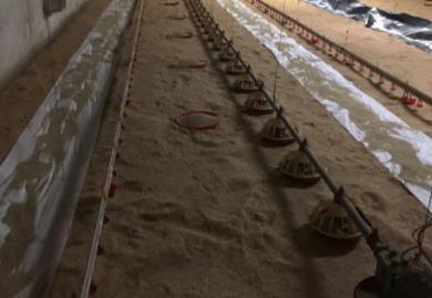 Photo 3 of Industrial buildings for sale in Lugar Muiños, Muíños, Ourense