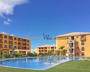 Vista exterior de Estudi en venda en Arona amb Terrassa, Moblat i Piscina comunitària