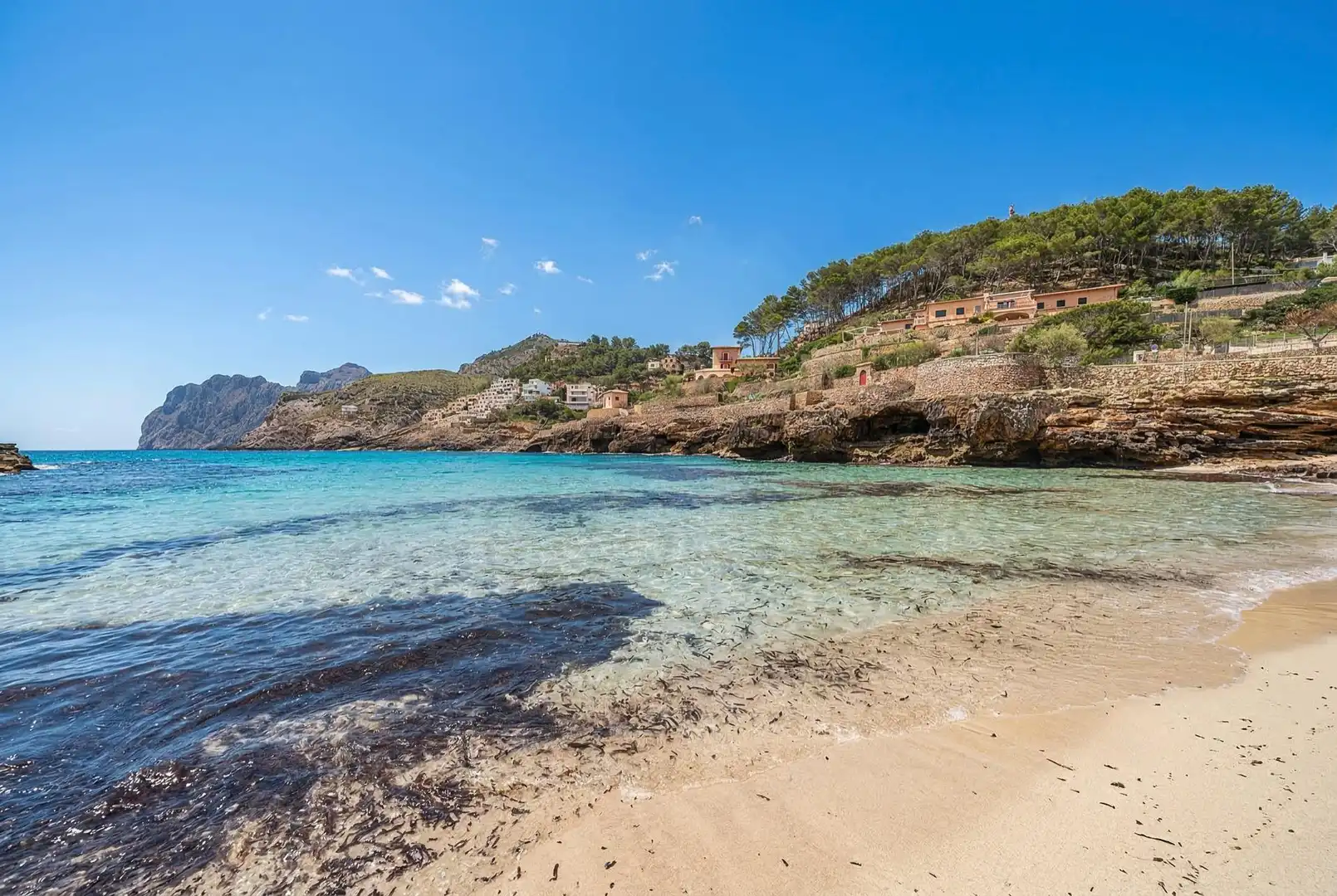 Exterior view of Apartments for sale in Pollença  with Private garden, Terrace and Furnished