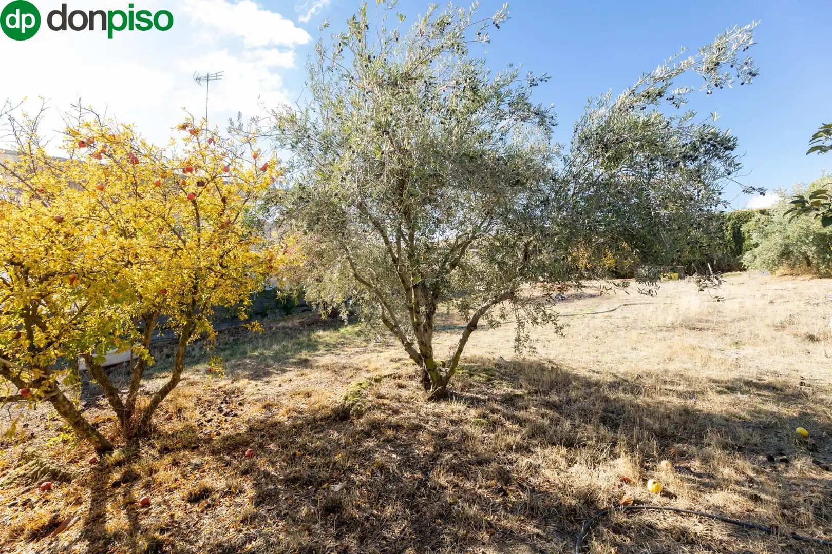 Residencial en venda a Paseo Paseo de la Cueva, 8, 8, San Francisco - Chorillo
